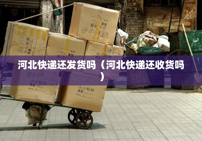 上海新增境外输入病例5例:上海新增境外输入疑似病例 上海新增境外输入病例5例:上海新增境外输入疑似病例