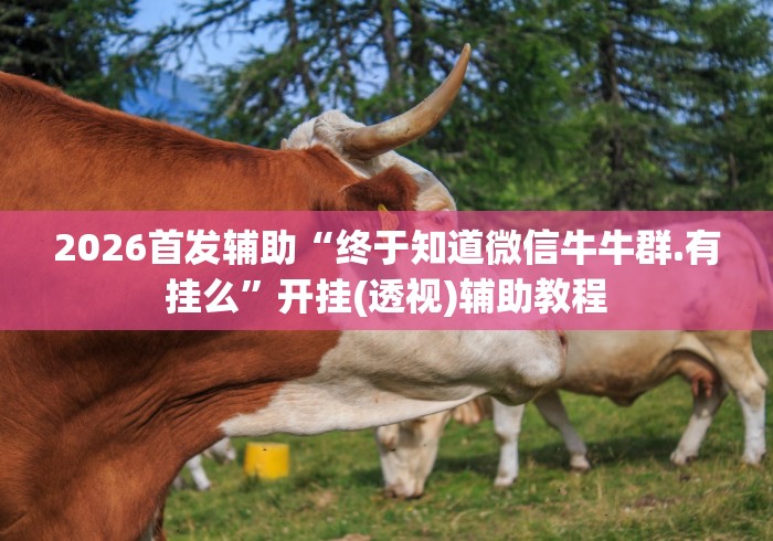 一分钟介绍使用“朱雀大厅房间卡哪里弄”详细房卡怎么购买教程 一分钟介绍使用“朱雀大厅房间卡哪里弄”详细房卡怎么购买教程