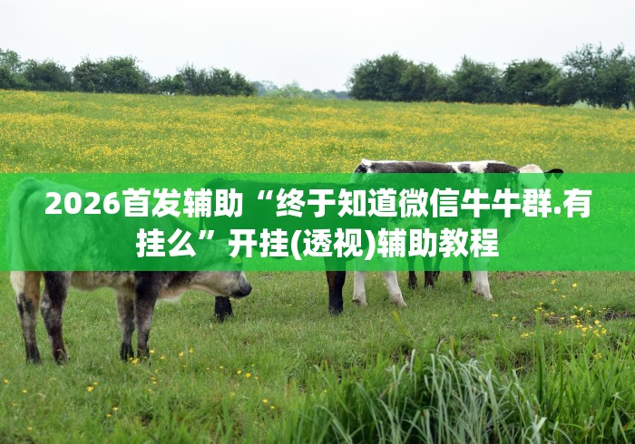2026首发辅助“终于知道微信牛牛群.有挂么”开挂(透视)辅助教程