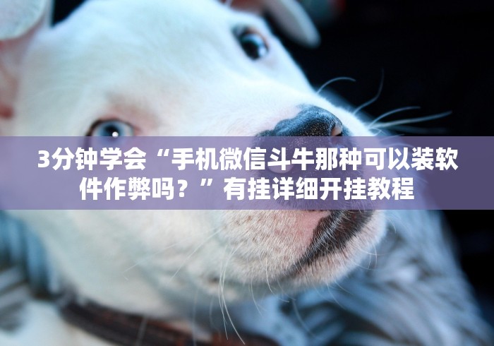 一分钟介绍使用“大圣牛牛房间卡在那购买”详细房卡教程