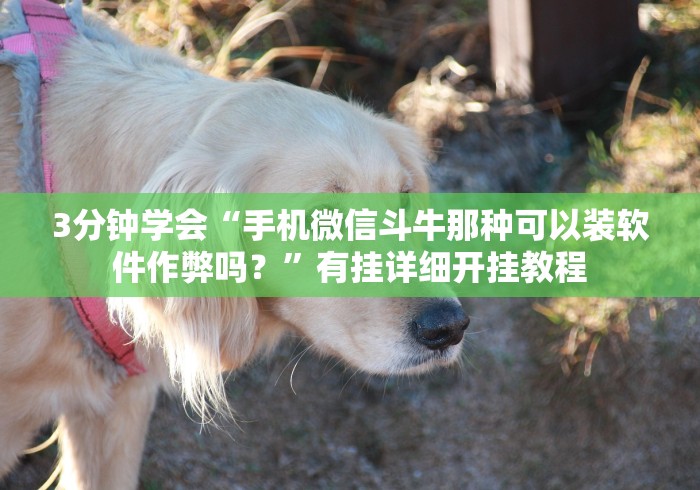 3分钟学会“手机微信斗牛那种可以装软件作弊吗?”有挂详细开挂教程 3分钟学会“手机微信斗牛那种可以装软件作弊吗?”有挂详细开挂教程