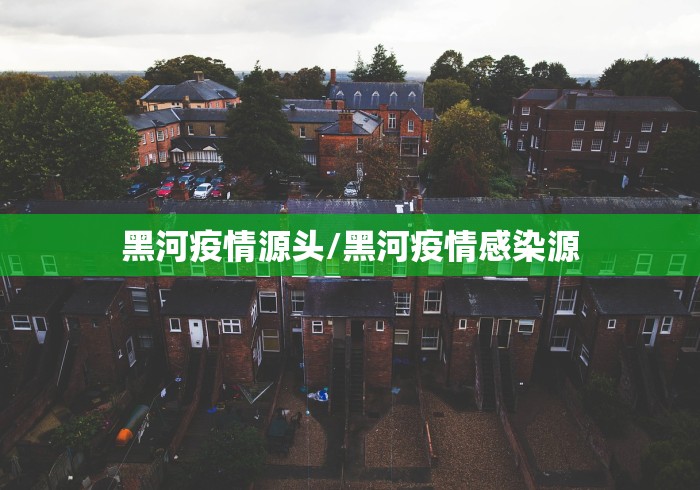 疫情哈尔滨小学毕业年级复课（哈尔滨市中小学恢复上课）