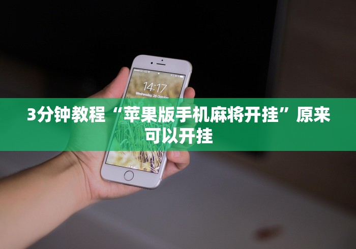 3分钟教程“苹果版手机麻将开挂”原来可以开挂 3分钟教程“苹果版手机麻将开挂”原来可以开挂
