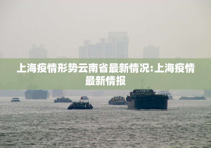 上海疫情形势云南省最新情况:上海疫情最新情报
