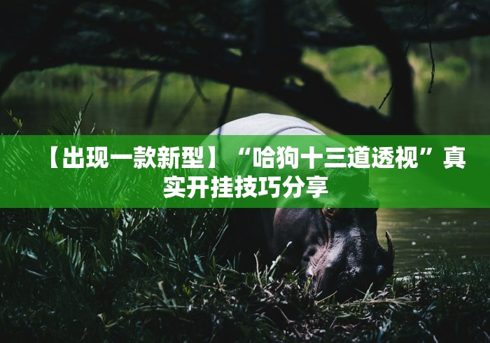 一分钟实测分享“微信链接炸 金花房卡怎么买”详细房卡怎么购买教程 一分钟实测分享“微信链接炸 金花房卡怎么买”详细房卡怎么购买教程