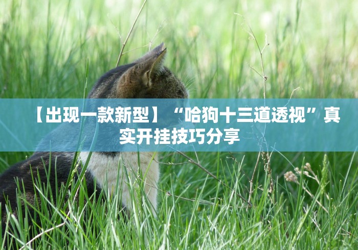 山西省疫情监督电话:山西省疫情指挥部举报电话 山西省疫情监督电话:山西省疫情指挥部举报电话