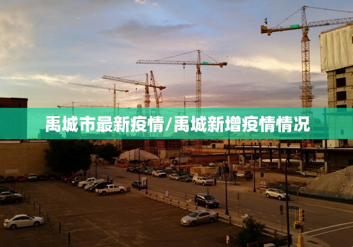 推荐一款“微乐辅助软件免费”(曝光透视必备猫腻)