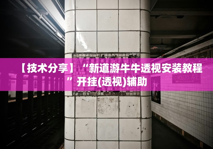 【技术分享】“新道游牛牛透视安装教程”开挂(透视)辅助