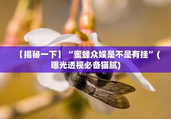 2026房卡教程“正规斗牛房卡哪里买”轻松获取房卡全渠道