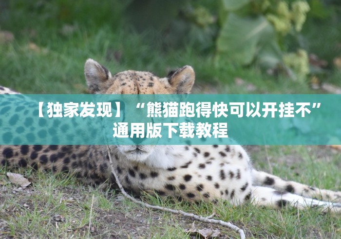 【重大消息】“四川游戏家园免费透视”(原来确实是有插件) 【重大消息】“四川游戏家园免费透视”(原来确实是有插件)