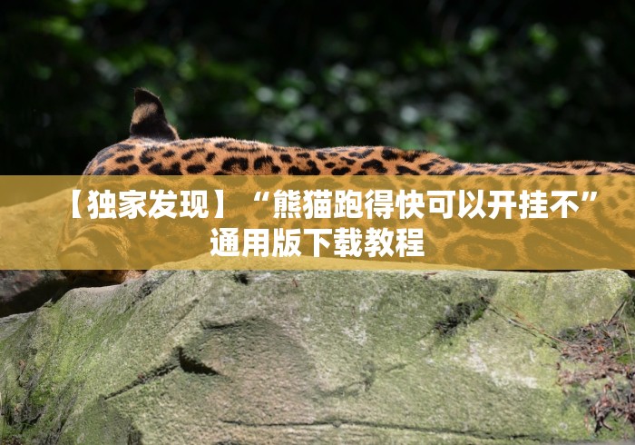 一分钟讲解“手机十三张有什么规律”(详细透视教程)-知乎 一分钟讲解“手机十三张有什么规律”(详细透视教程)-知乎