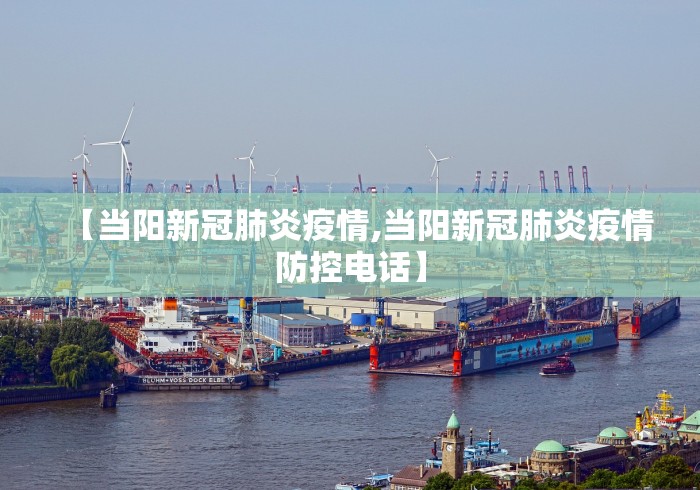 北京疫情防控形势严峻/北京已遏制疫情蔓延势头,但防控形势依然严峻复杂