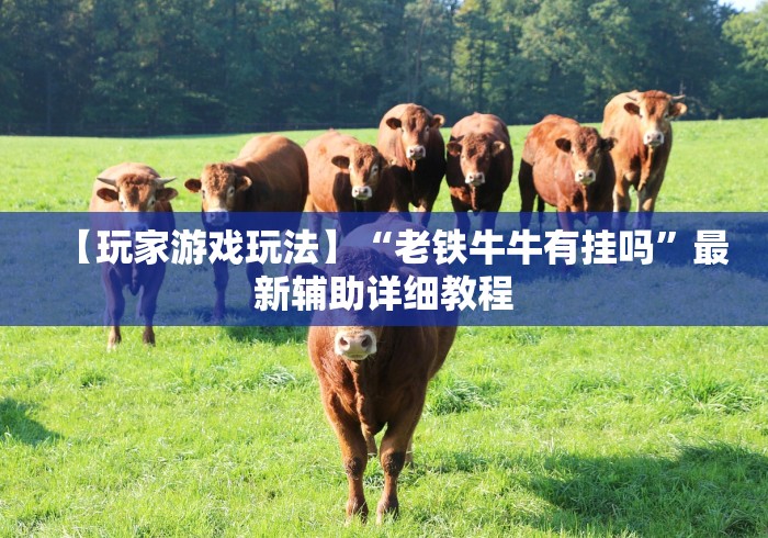 实测辅助“呼包鄂作弊软件”开挂(透视)辅助教程 实测辅助“呼包鄂作弊软件”开挂(透视)辅助教程