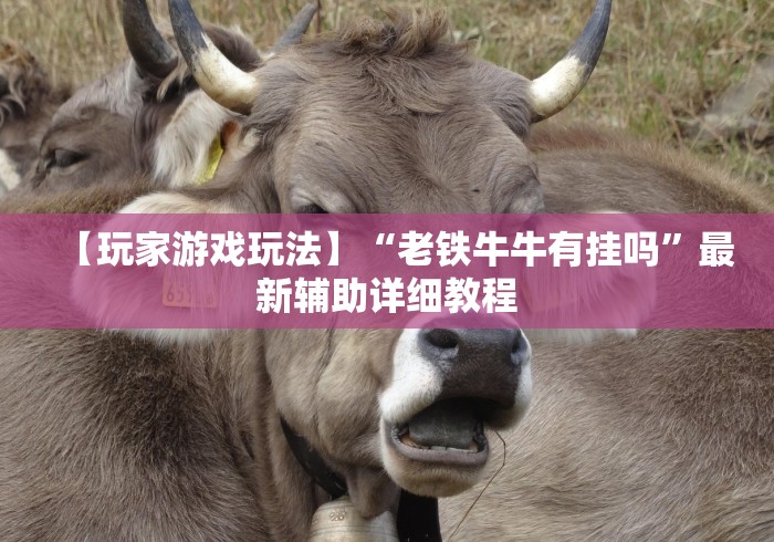 全攻略普及“神盾大厅怎么买房间卡科技”详细房卡教程 全攻略普及“神盾大厅怎么买房间卡科技”详细房卡教程