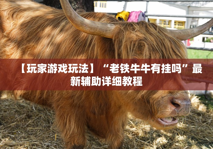 实测神器辅助“天道联盟透视挂”掌握辅助功能必胜规则 实测神器辅助“天道联盟透视挂”掌握辅助功能必胜规则