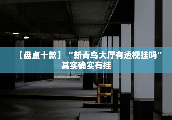 【盘点十款】“新青鸟大厅有透视挂吗”其实确实有挂 【盘点十款】“新青鸟大厅有透视挂吗”其实确实有挂