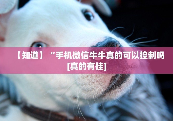 房卡必备教程“欢喜大厅金花房间卡怎么弄”房卡获取方式