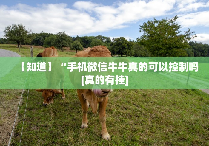 给大家讲解“微信斗牛大厅链接房卡怎么弄”详细房卡教程 给大家讲解“微信斗牛大厅链接房卡怎么弄”详细房卡教程