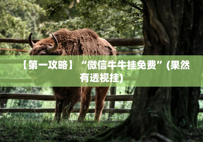 玩家必知“火牛大厅金花房间卡怎么弄”详细房卡怎么购买教程 玩家必知“火牛大厅金花房间卡怎么弄”详细房卡怎么购买教程