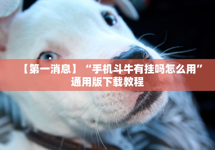 房卡全攻略“新青鸟透视开挂神器”轻松获取房卡全渠道 房卡全攻略“新青鸟透视开挂神器”轻松获取房卡全渠道