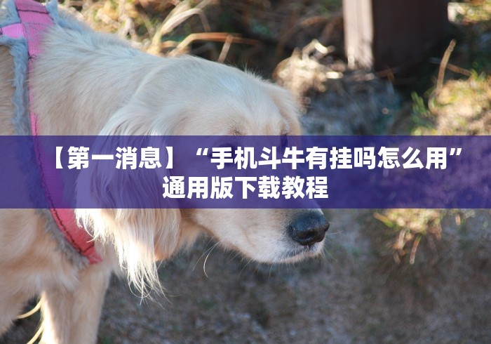 秒懂百科“随意玩大厅怎么充房卡”链接房卡怎么充值 秒懂百科“随意玩大厅怎么充房卡”链接房卡怎么充值