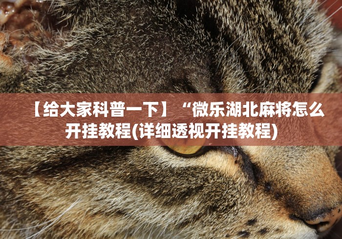 房卡必备教程“微信炸 金花房卡模式在哪买”购买房卡介绍 房卡必备教程“微信炸 金花房卡模式在哪买”购买房卡介绍