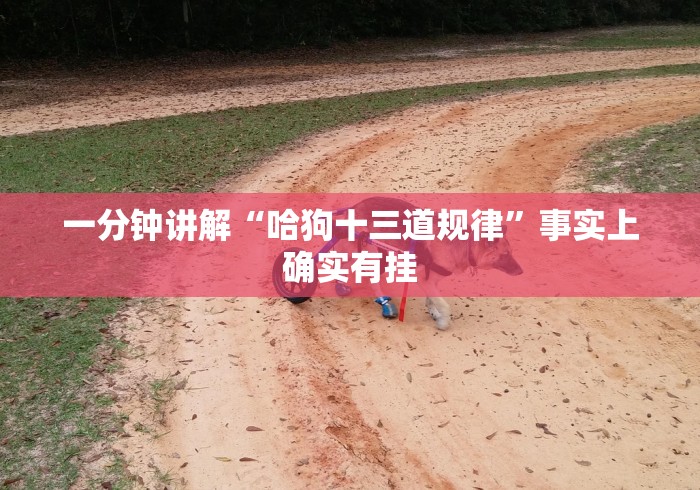 郑州通报5例感染者轨迹4人为小学生/郑州感染人员行动轨迹