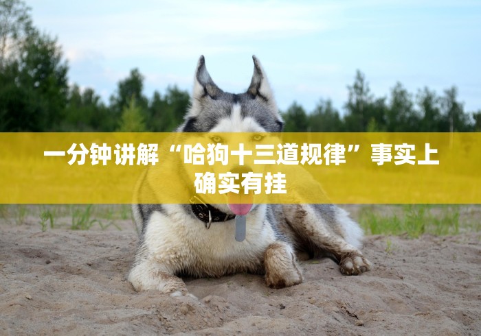 房卡全攻略“APP钻石竹园茶楼”购买房卡介绍