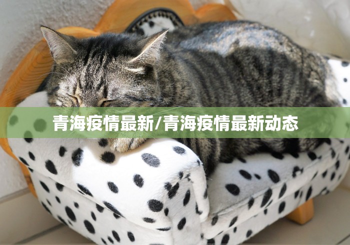 一分钟实测分享“人人大厅金花房间卡怎么弄”房卡怎么购买 一分钟实测分享“人人大厅金花房间卡怎么弄”房卡怎么购买