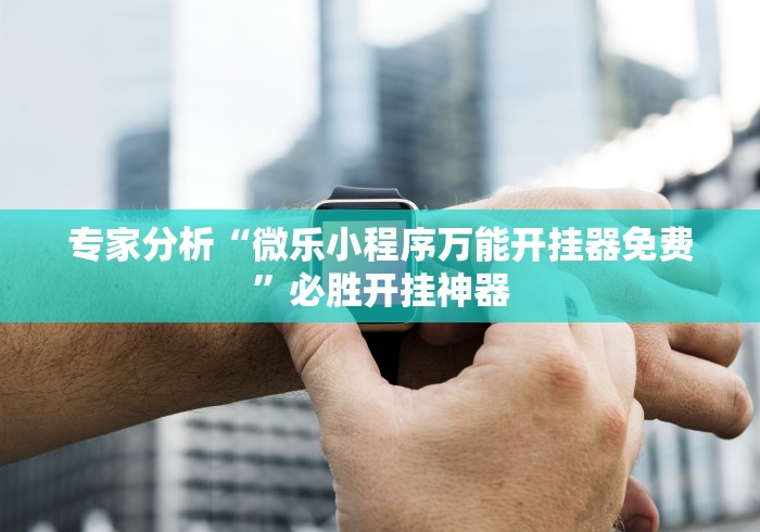 全新解说丫丫自逍遥跑胡子辅助器最新辅助详细教程