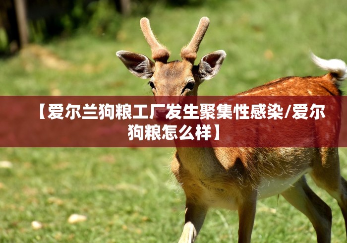 一分钟介绍使用“圣光大厅金花房间卡怎么弄”详细房卡使用教程 一分钟介绍使用“圣光大厅金花房间卡怎么弄”详细房卡使用教程
