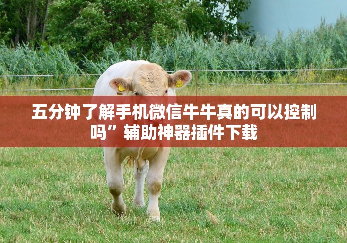 房卡必备教程“流樱大厅金花房间卡怎么弄”房卡使用教程 房卡必备教程“流樱大厅金花房间卡怎么弄”房卡使用教程