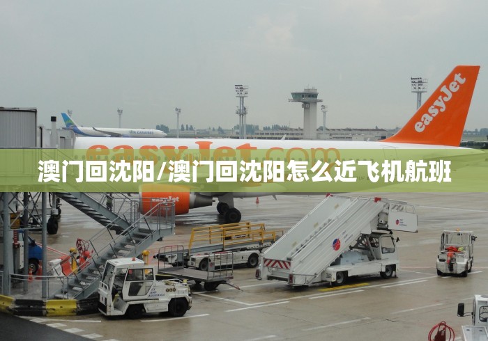 秒懂教程“最新白虎大厅牛牛 怎么买房卡”详细房卡使用教程