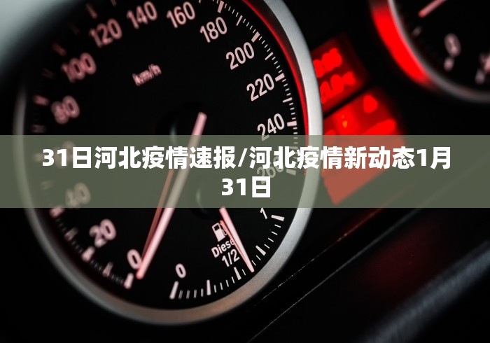 31省区市新增39例本土确诊:31省区市新增30例本土确诊病例 31省区市新增39例本土确诊:31省区市新增30例本土确诊病例