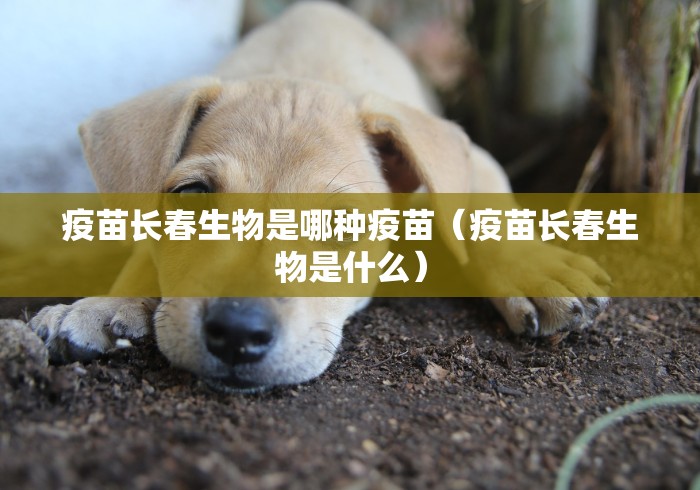 2026玩家爆料“星狗揽月金花房间卡怎么弄”获取房卡教程-哔哩哔哩 2026玩家爆料“星狗揽月金花房间卡怎么弄”获取房卡教程-哔哩哔哩