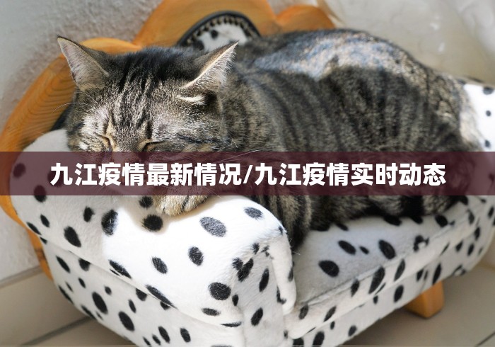 必备科技“大头十三水外卦辅助神器”(详细辅助脚本) 必备科技“大头十三水外卦辅助神器”(详细辅助脚本)