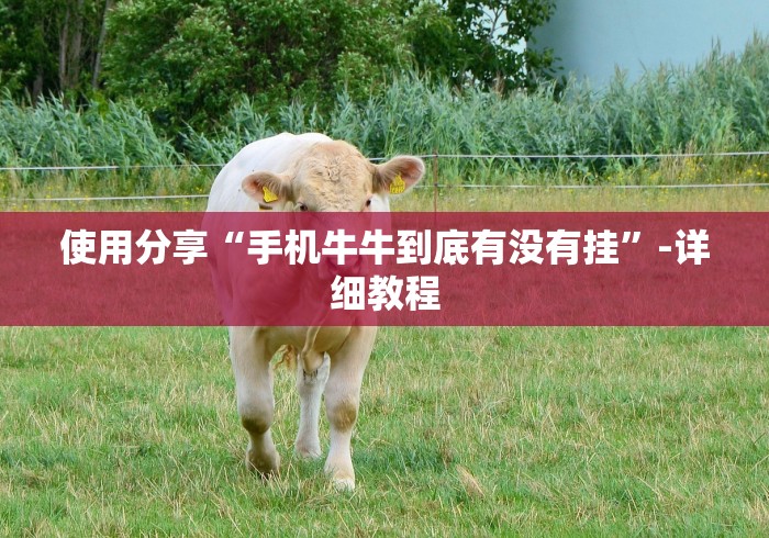 河北昨日新增1例本土无症状（河北昨日新增1例本土无症状感染者）