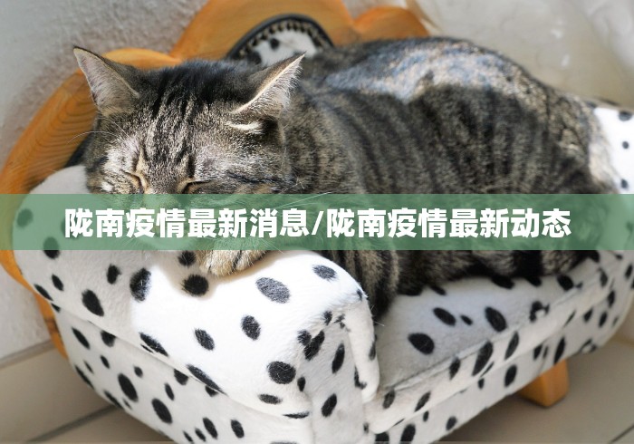 房卡全攻略“乐娱互动金花房间卡怎么弄”房卡使用教程