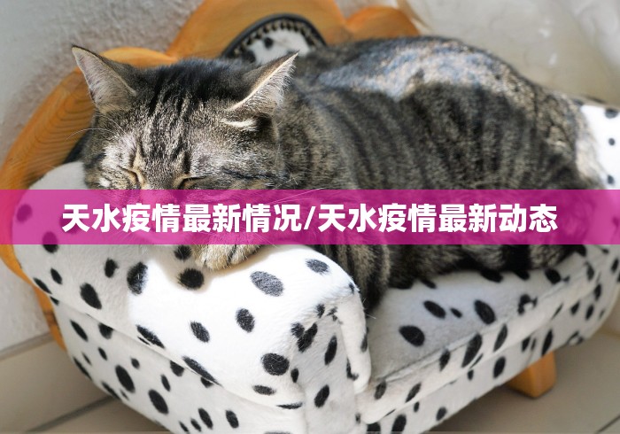 宁夏回族自治区疫情报告最新/宁夏刚刚发布最新动态 宁夏回族自治区疫情报告最新/宁夏刚刚发布最新动态