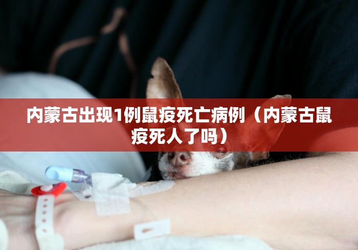 2026房卡教程“海贝之诚怎么买房间卡科技”房卡链接获取