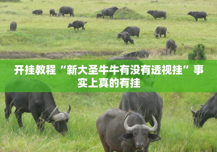 沈阳疫情管控24号/沈阳疫情管控24号文件