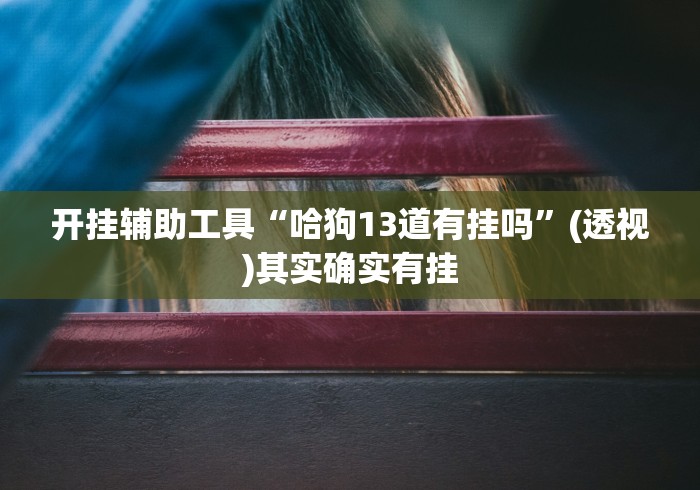 开挂辅助工具“哈狗13道有挂吗”(透视)其实确实有挂 开挂辅助工具“哈狗13道有挂吗”(透视)其实确实有挂