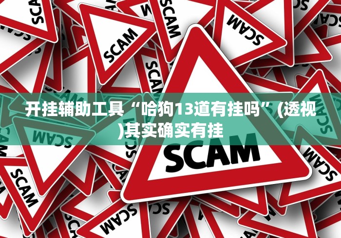 开挂辅助工具“哈狗13道有挂吗”(透视)其实确实有挂 开挂辅助工具“哈狗13道有挂吗”(透视)其实确实有挂