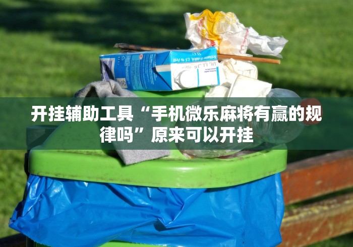 开挂辅助工具“手机微乐麻将有赢的规律吗”原来可以开挂 开挂辅助工具“手机微乐麻将有赢的规律吗”原来可以开挂