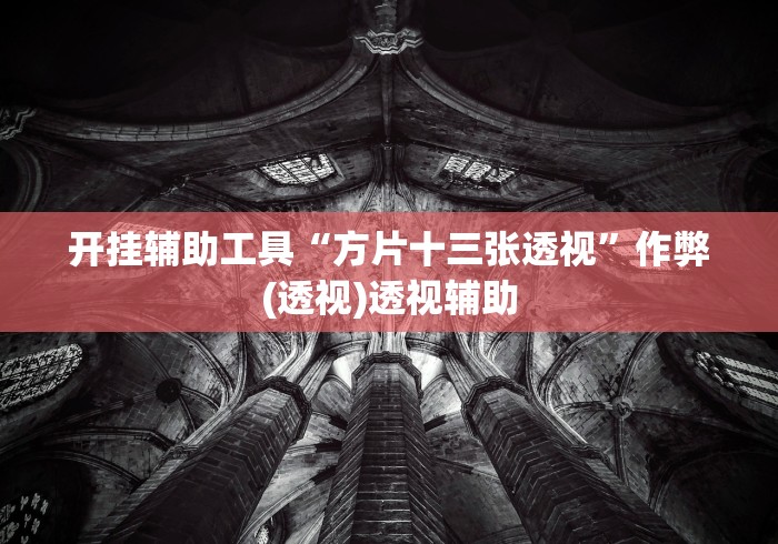 开挂辅助工具“方片十三张透视”作弊(透视)透视辅助 开挂辅助工具“方片十三张透视”作弊(透视)透视辅助