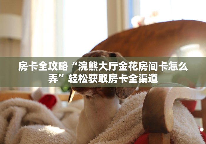 房卡全攻略“浣熊大厅金花房间卡怎么弄”轻松获取房卡全渠道 房卡全攻略“浣熊大厅金花房间卡怎么弄”轻松获取房卡全渠道