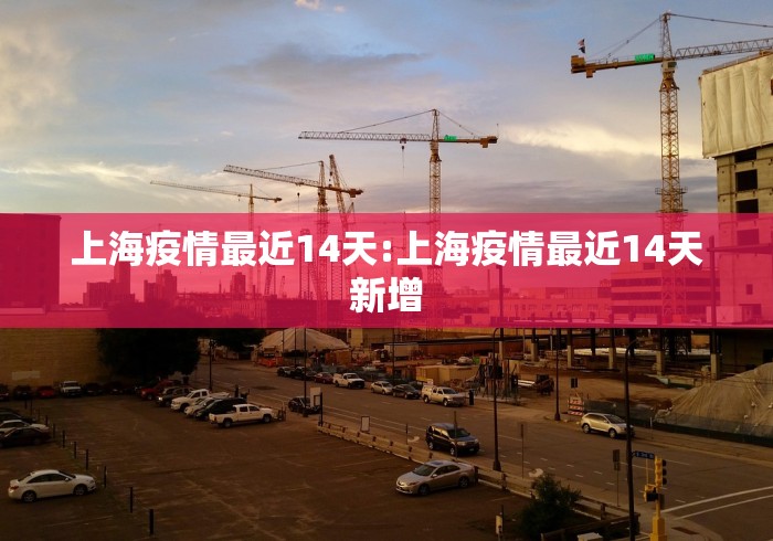 【河北省石家庄市疫情确诊病例轨迹/石家庄疫情确诊人员信息】