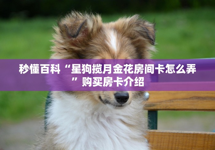 房卡必备教程“最新乐酷大厅牛牛怎么买房卡”房卡获取方式 房卡必备教程“最新乐酷大厅牛牛怎么买房卡”房卡获取方式