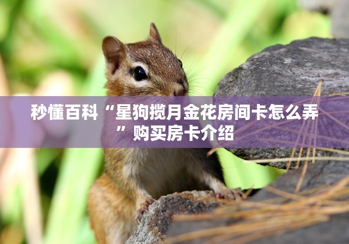 2026玩家爆料“昆仑大厅金花房间卡怎么弄”详细房卡怎么购买教程 2026玩家爆料“昆仑大厅金花房间卡怎么弄”详细房卡怎么购买教程