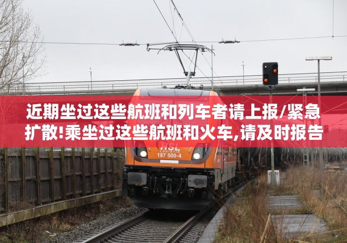 31省区市新增境外输入13例（31省新增境外输入18例）